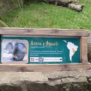 Agouti Signage