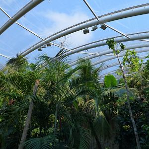 View in Monsoon Forest