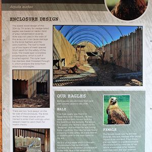 Wedge-tailed Eagle signage