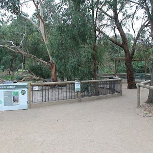 enclosures for Southern Hairy-nosed Wombats