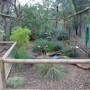 walk-in aviary