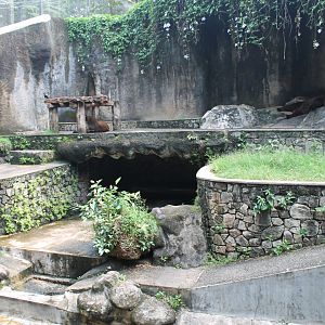 Brown Bear (Ursus arctos) enclosure, front-view