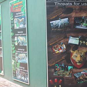 Tiger educational material