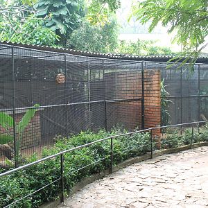 cages for small mammals