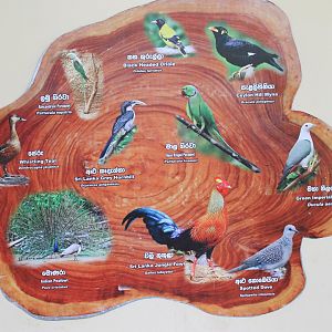 signage for walk-through aviary