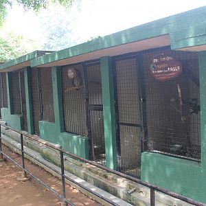 nasty aviaries