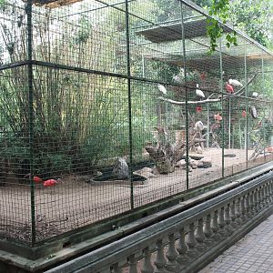 waterbird aviary (Scarlet Ibis and Eurasian Spoonbill)