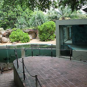 penguin enclosure - now housing Pacu