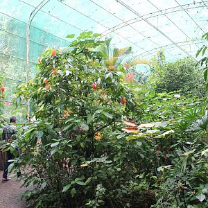 interior of Butterfly House