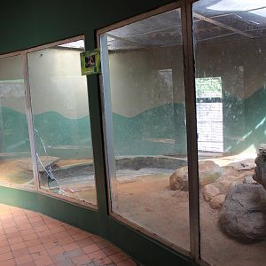 enclosure for Indian Rock Python