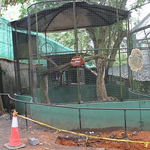 cage for Siamang (Symphalangus syndactylus)