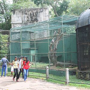 monkey cages