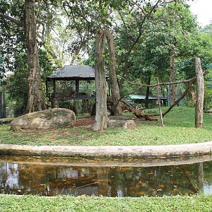 island for White-fronted Brown Lemurs (Eulemur albifrons)