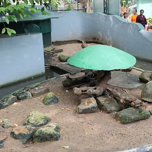 enclosure for Common Otters (Lutra lutra)