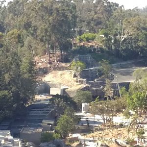 Africa Rocks Construction - 6/18/2017 (5)