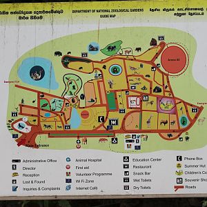 Colombo Zoo map-board