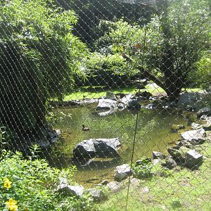 Tierpark Hagenbeck - Macaw aviary