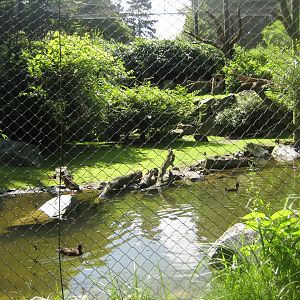 Tierpark Hagenbeck - Macaw aviary