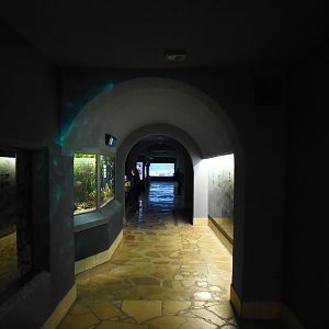 Aquarium