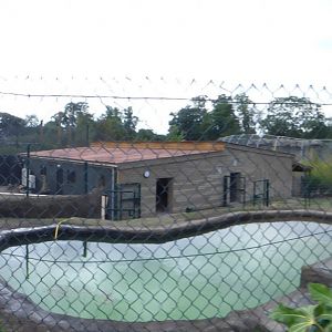 New Malayan Tapir Enclosure