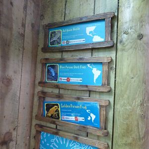 Anole and Frog Signage