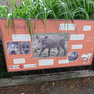 Warthog signage