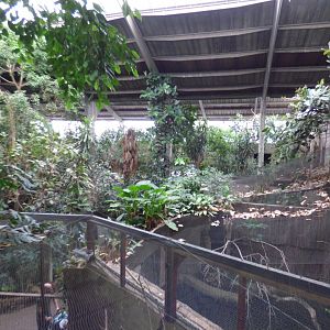 View across the Tropical Realm