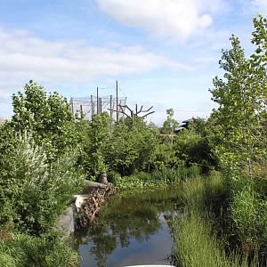 Lazy boat ride planting