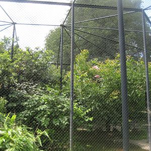 Tierpark Hagenbeck - South American aviary