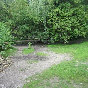 Tierpark Hagenbeck - Tapir exhibit