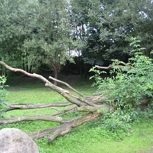 Tierpark Hagenbeck - Tapir exhibit