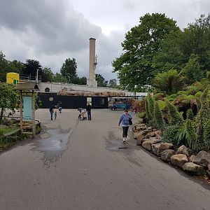 View toward building-site Gelada-enclosure