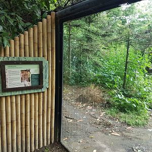 Sign and enclosure Amur leopard