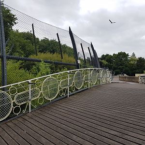 Viewing-bridge Sumatra tiger-enclosure