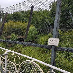 View into second Sumatra tiger-enclosure