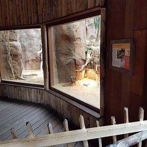 Plated lizard - Pancake tortoise enclosures