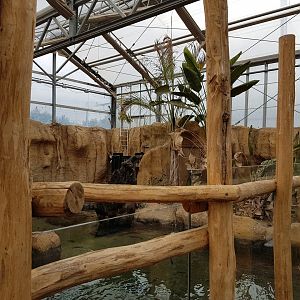Crocodile-enclosure
