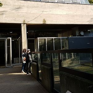 Viewing into the Galapagos tortoise outdoor-enclosure