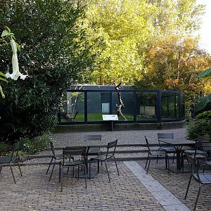 Aldabra tortoise-enclosure