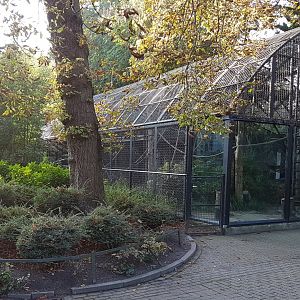 Chimp-out-door-enclosure