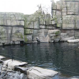 Tierpark Hagenbeck - Fur seal exhibit