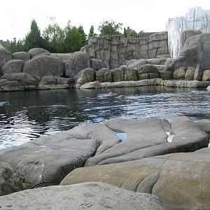 Tierpark Hagenbeck - Walrus exhibit