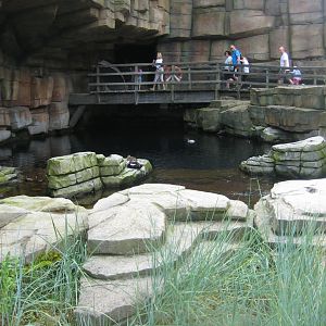 Tierpark Hagenbeck - Arctic aviary