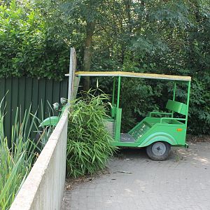 Tuc-tuc into Bear-enclosure
