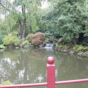 Chinese Garden