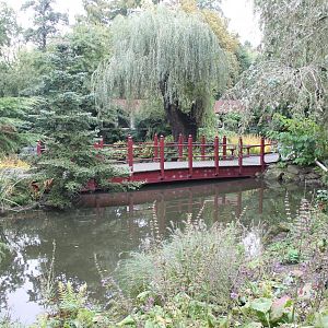 Chinese Garden