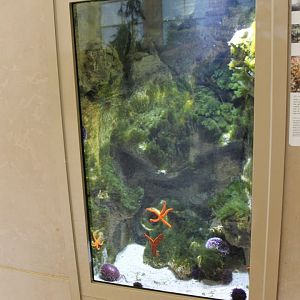 Aquarium