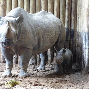 Kitani and 13 day old daughter