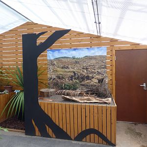 Deforestation display in 'The Plant Project'