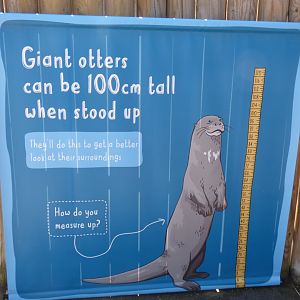 Giant Otter signage